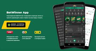 Everything You Need to Know About BetWinner Registration