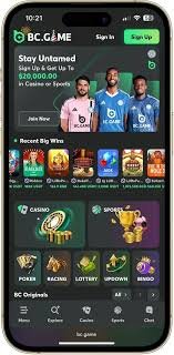 Discover the Best BC Fun Top – Your Ultimate Gaming Guide