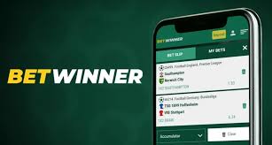 BetWinner Casino and Sportsbook Your Ultimate Gaming Destination BetWinner Casino and Sportsbook Your Ultimate Gaming Destination
